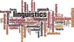 Methodology and Linguistics