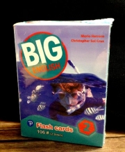 BIG English 2 Second edition FlashCards
