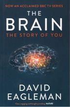 کتاب رمان انگلیسی مغز The Brain