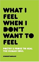کتاب رمان انگلیسی چه حسی دارم وقتی نمی خواهم حسی داشته باشم  What I Feel When I Dont Want To Feel