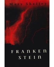 کتاب رمان آلمانی فرانکشتاین Franken Stein