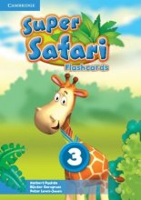 Super Safari Level 3 Flashcards