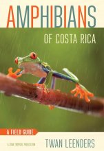 کتاب آمفیبینز آف کوستا ریکا Amphibians of Costa Rica: A Field Guide