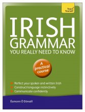 کتاب آیریش گرامر یو ریلی نید تو نو Irish Grammar You Really Need to Know