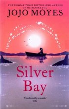 کتاب رمان انگلیسی خلیج نقره ای  Silver Bay