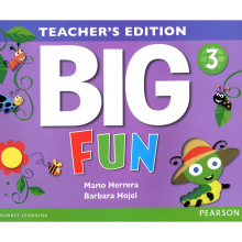 Big Fun 3 Teachers book