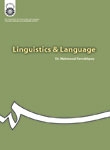 Linguistics & Language